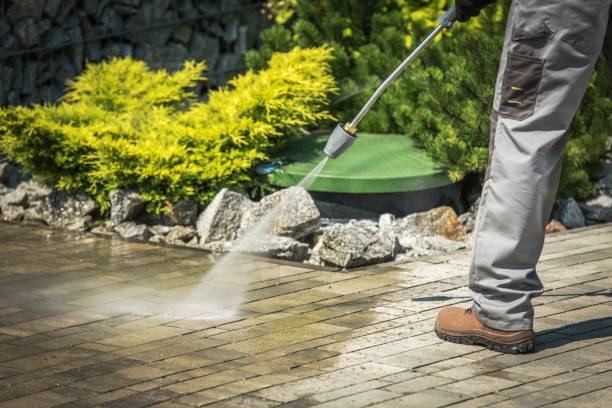 Best Animal Enclosure Cleaning  in Owasso, OK